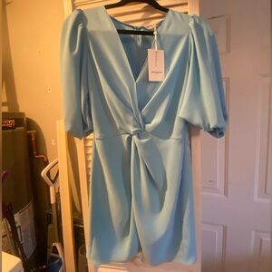Amanda Uprichard Blue Sleeve Dress